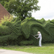 Illustration for article titled Retired man sculpts hedge into a 100-foot-long dragon